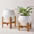 Ilya Turned Wood Planters - White