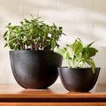 Imogen Iron Tabletop Planters