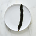 Kanto Stoneware Ink Brush Salad Plate