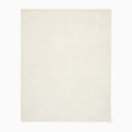 Latitude Rug
