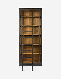 Mallory Bookcase with Ladder