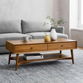 Mid-Century Storage Coffee Table (122 cm)