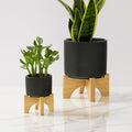 Mid-Century Modern Turned Wood Tabletop Planters - Black