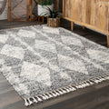 Porch Den Coventry Diamond Banded Tassel Area Rug