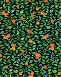 Orange Crush Peel + Stick Wallpaper by Nathan Turner, Onyx Swatch