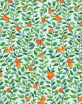 Orange Crush Wallpaper by Nathan Turner, Sky