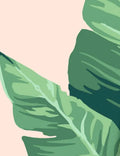 Pacifico Palm Wallpaper by Nathan Turner, Peach