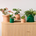 Plant Kween Terracotta Tabletop Planters