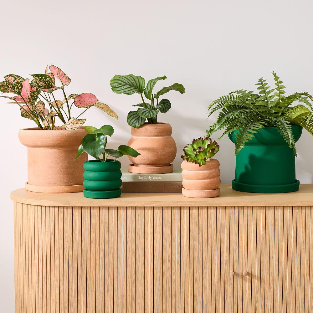 Plant Kween Terracotta Tabletop Planters