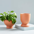 Pure Terracotta Planters