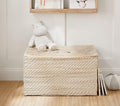 Pottery Barn Kids Quinn White Washed Toy Chest