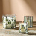 Glass Candleholders (Set of 3)