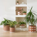 Diego Olivero Rio Terracotta Indoor/Outdoor Cache Pots