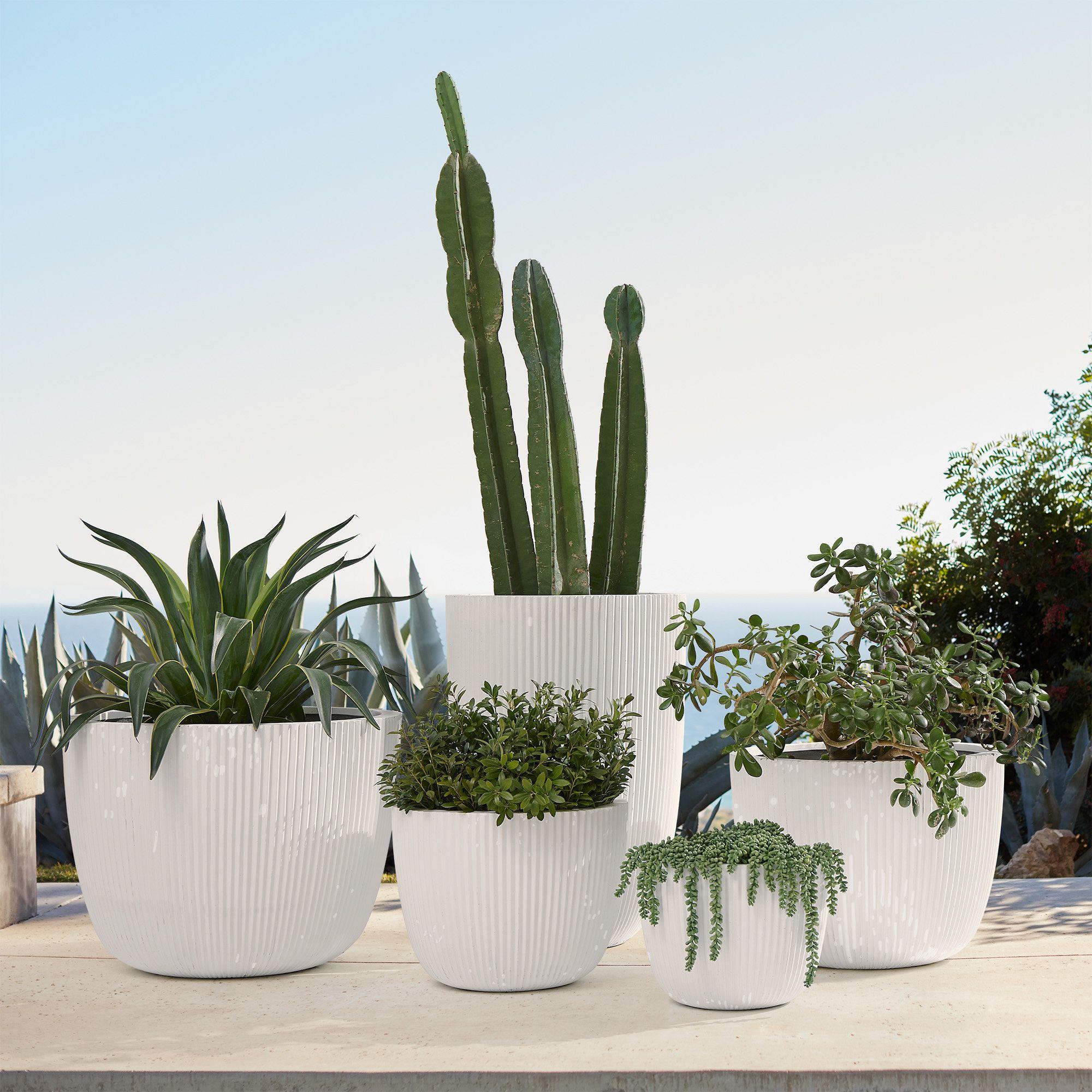 Sanibel Ficonstone Indoor/Outdoor Planters