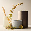 Terra Homescent Collection - Seagrass Mist