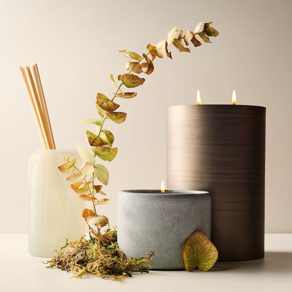 Terra Homescent Collection - Seagrass Mist
