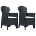 Vidaxl 2X Garden Chairs With Cushion Plastic Rattan Look Chair