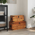 Vidaxl Storage Chest Set 2 Pieces Rough Mango Wood Brown