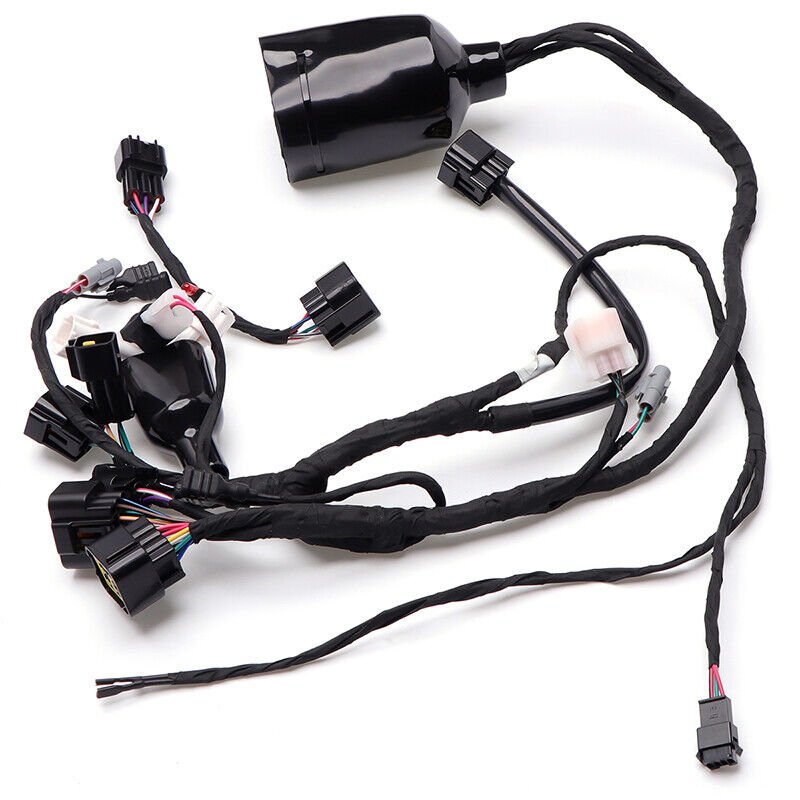 SUR RON LIGHT BEE FULL OFF ROAD WIRING LOOM HARNESS