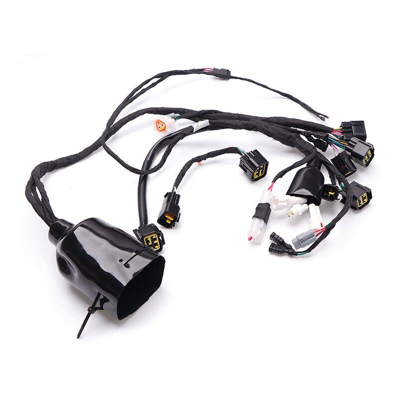 SUR RON LIGHT BEE FULL OFF ROAD WIRING LOOM HARNESS